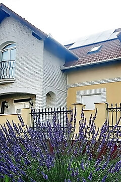 Sóvirág Termál Panzió Hajdúnánás