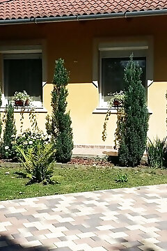 Borostyán Vendégház Kőszeg