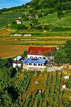 Inhauser Pincészet & Guesthouse Somlószőlős
