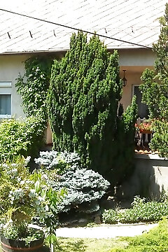 Szabolcs Apartman Balatonfüred