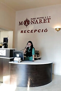 Minaret Hotel Eger