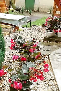 Páfrány Üdülőház Noszvaj