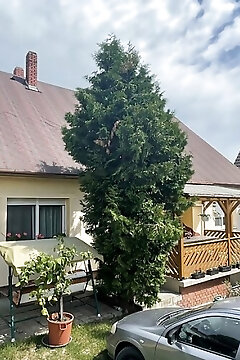 Kondor Apartman Balatonboglár