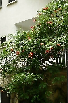 Mater Apartmanház Balatonboglár
