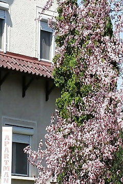 Tiszavirág Apartman Tiszafüred