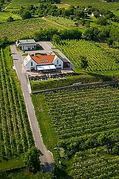 Vitis Kúria Balatonrendes