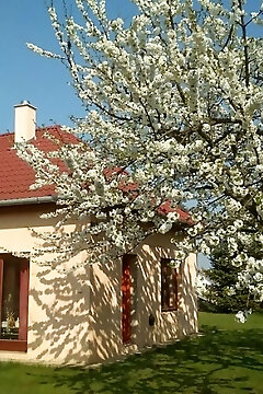 Rózsás Apartman Tiszafüred