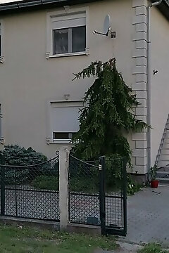 Éva Lak Balatonboglár