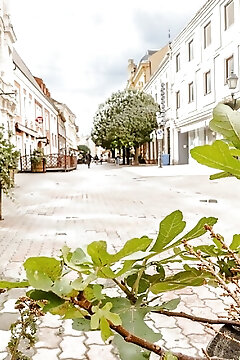 Király 40 Apartman Pécs