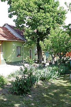 Homoky Család Pincészete és Vendégháza Tállya