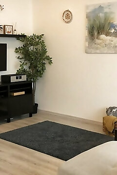 Moonshine Apartman Szeged