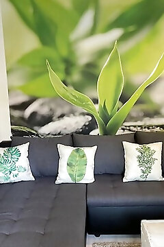 Zen Apartman Eger