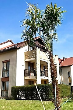 Golf Villa Apartman Bükfürdő