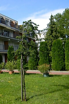 Beni Apartman Csopak