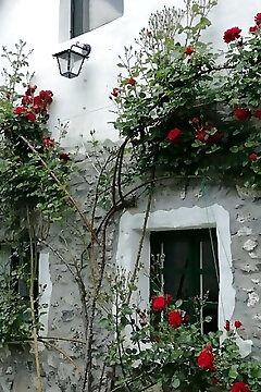 Kapolcs Cottage Vendégház Kapolcs