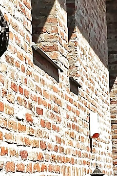 Dalma Apartman Gyula