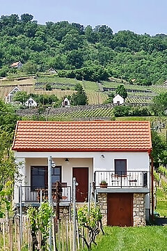 Jera Pince és Vendégház Somlóvásárhely
