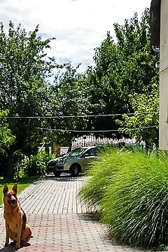 Muskátli Apartman Paks