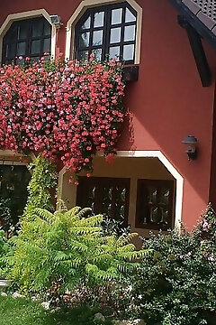 Elizabeth Apartman Siófok