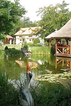 Szőlőszem Farm Tiszaszőlős