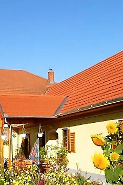 Benkő Vendégház Kiskutas