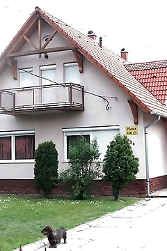 Anna és Sára Apartman Balatonboglár