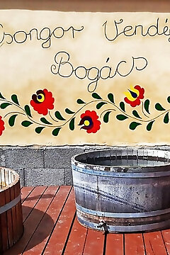 Csongor Vendégház Bogács