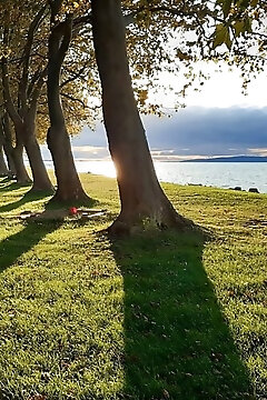 Bb-ház Balatonboglár