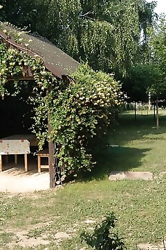 Bibi Apartmanház Balatonboglár