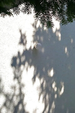 Speri Vendégház Balatonfenyves