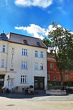 Hotel Domus Collis Győr