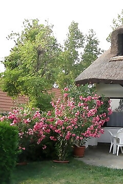 Best Vendégház Velence