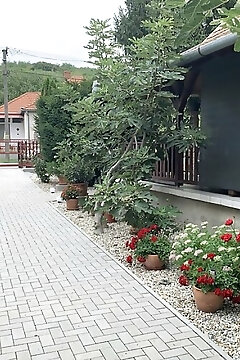 Bástya Apartman Fonyód