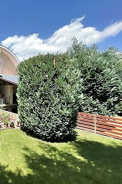 Léna Apartman Balatonszárszó