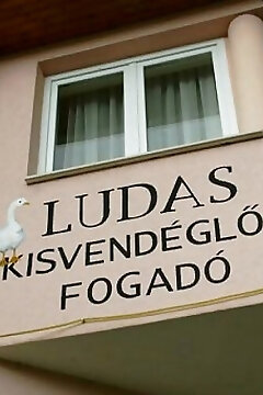 Ludas Fogadó Nagyalásony