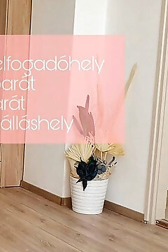 Pinkóczi Apartmanház Balatonalmádi