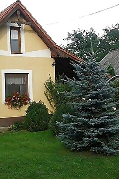Éva Lak Kiskunmajsa