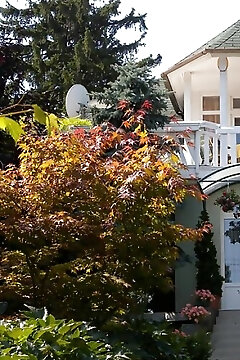 Leander Apartman Fonyód