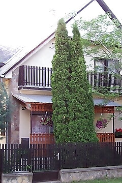 Erzsi Apartmanok Balatonboglár
