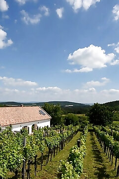 Káli Panoráma Présház Mindszentkálla