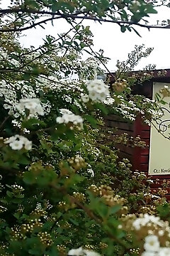 Levendula Apartmanház Gyomaendrőd