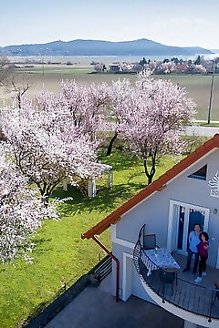 Tulipán Vendégház Örvényes
