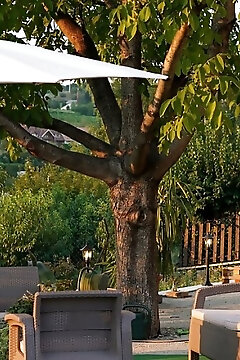 Szent Iván Apartman Eger