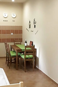 Reptér Apartman Vecsés
