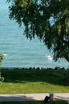 Aquatoria Apartman Siófok