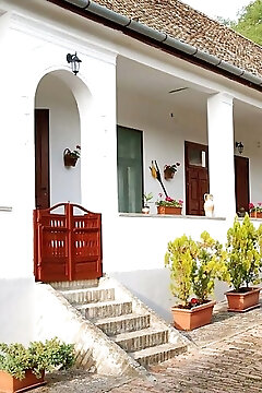 Szabó-bali Vendégház Villánykövesd