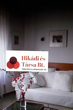 Thelena Apartman Tolna