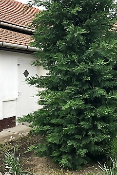 Ilcsi Vendégház Abádszalók