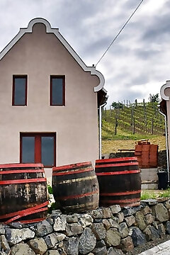 Bagdal-vino Vendégház Somlójenő