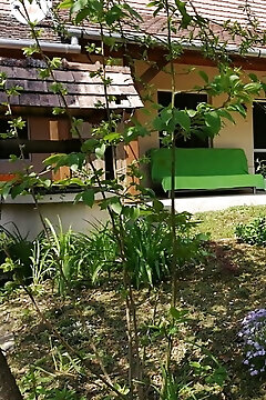 Flóra Apartmanok Kehidakustány